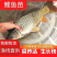 鲤鱼鱼苗大型养殖场养殖业对接云贵川陕西湖南湖北