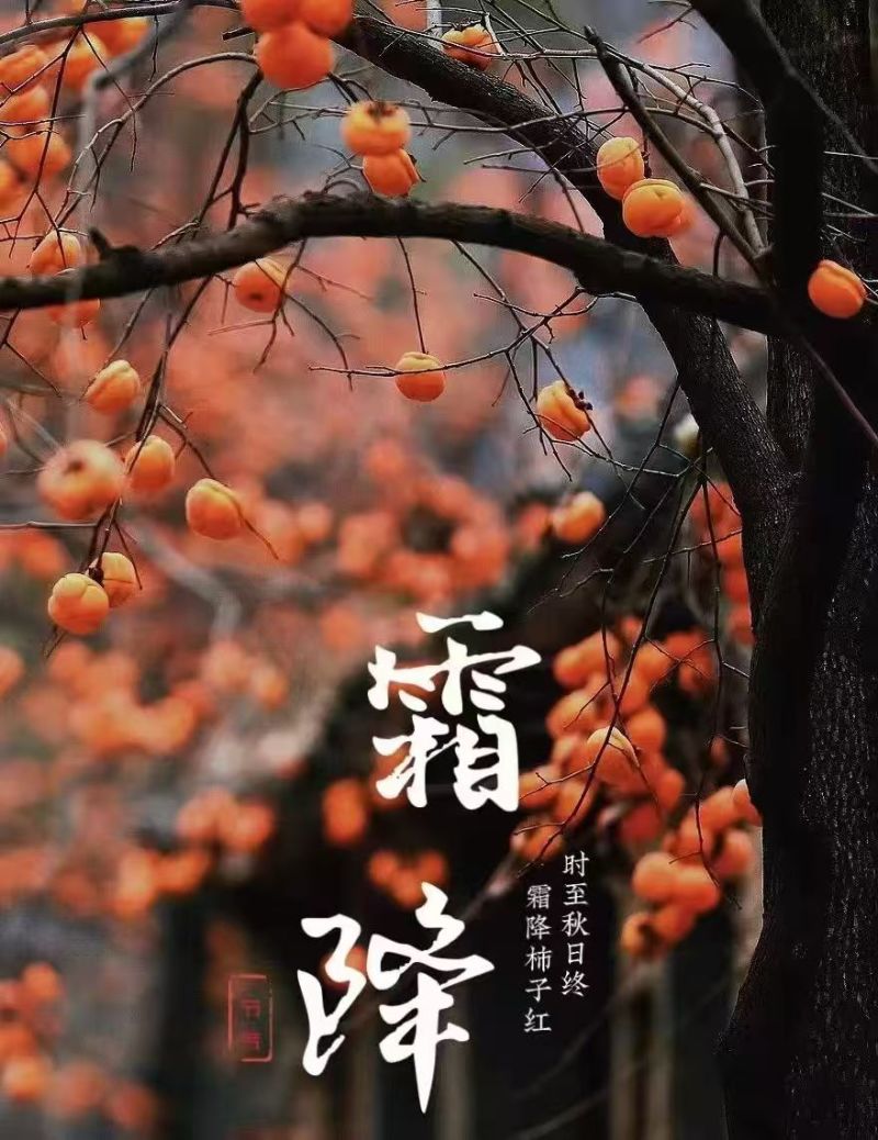 （礼盒装）2025年富平柿饼新货，价格优惠