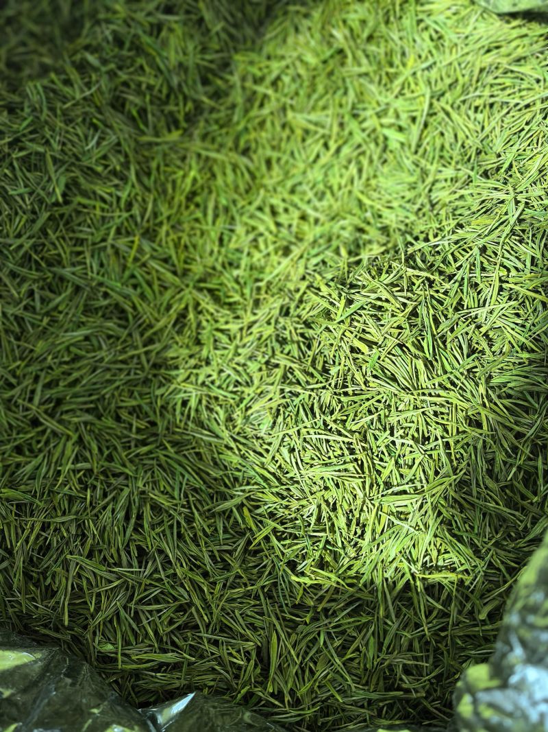 自己家种的，白茶，黄金芽，赢家红茶，（一件一箱，30斤）