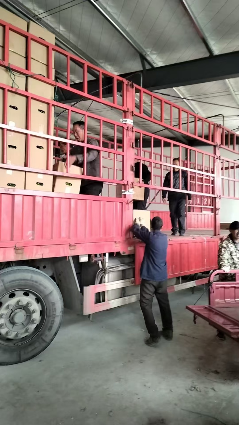 承接物流运输业务，平板、高栏、厢式、冷藏4.2-17.5