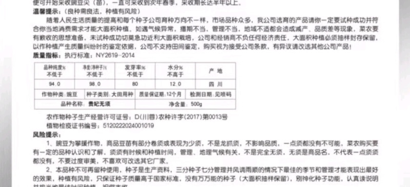 豌豆种子贵妃无须大无须豌豆尖品种茎粗叶肥脆嫩无须肯发