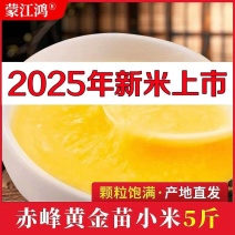 精品赤峰黄小米支持【一件代发】电商供货品质保证
