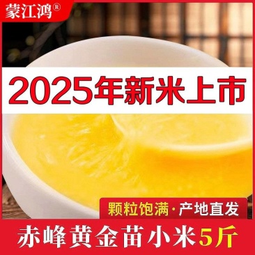 精品赤峰黄小米支持【一件代发】电商供货品质保证