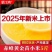 精品赤峰黄小米支持【一件代发】电商供货品质保证