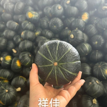 精品贝贝南瓜