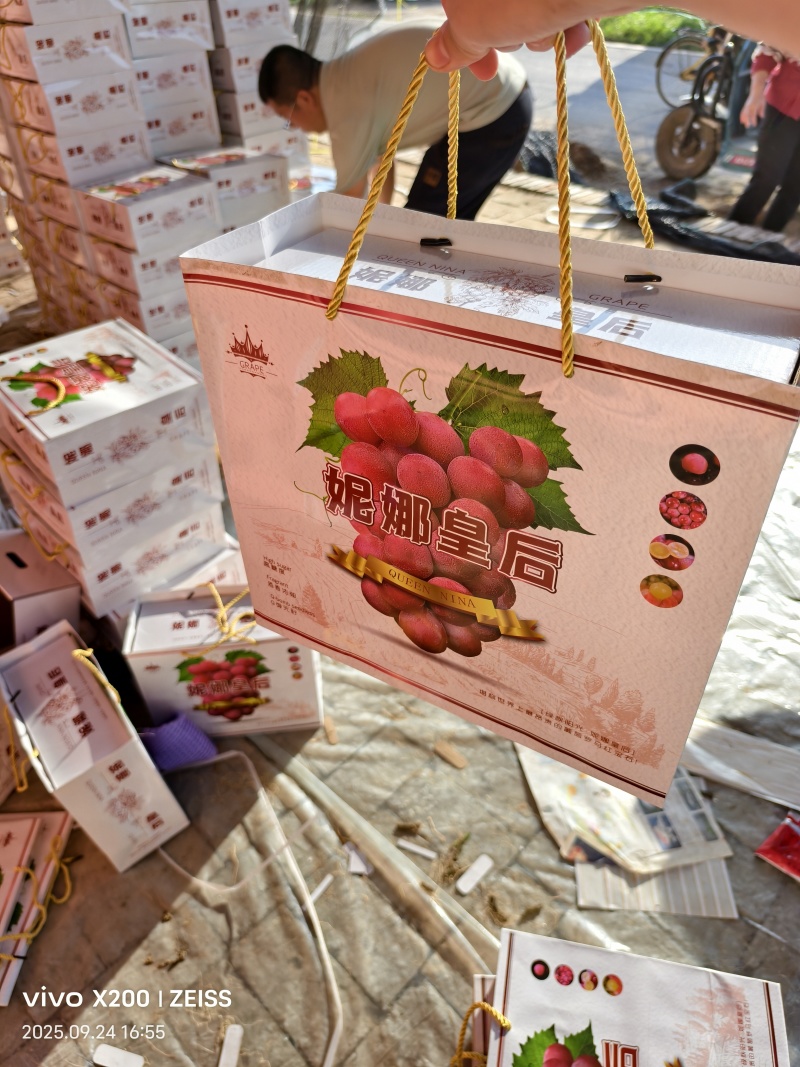 【山西葡萄】山西妮娜皇后/水果皇后/一级水果贵族精品妮娜