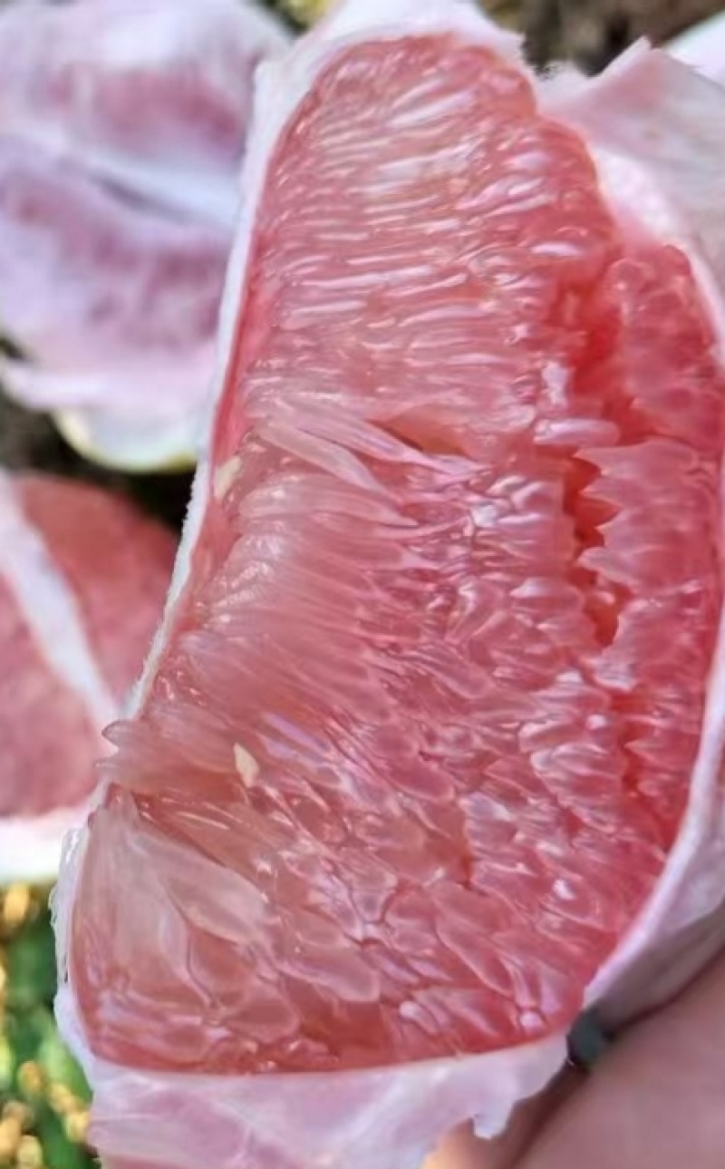 大埔三红蜜柚