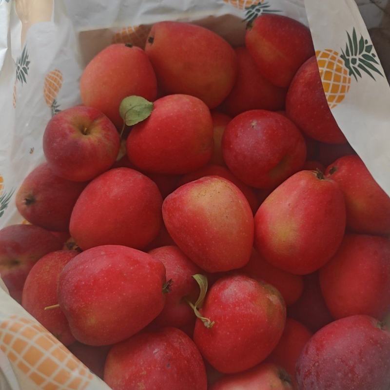 鸡心果