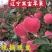 寒富苹果大量上市有需要的联系，果子口感很好。