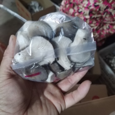 一手货源，产地直发