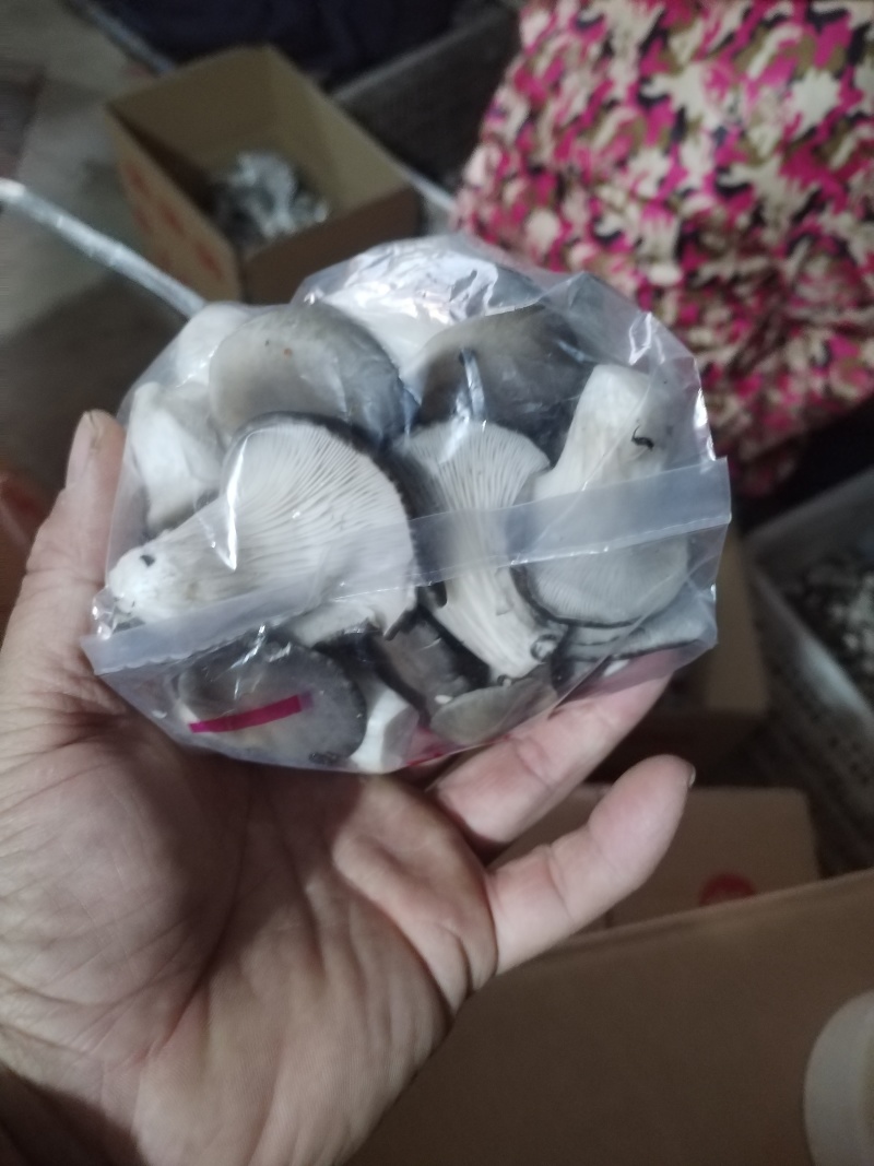一手货源，产地直发