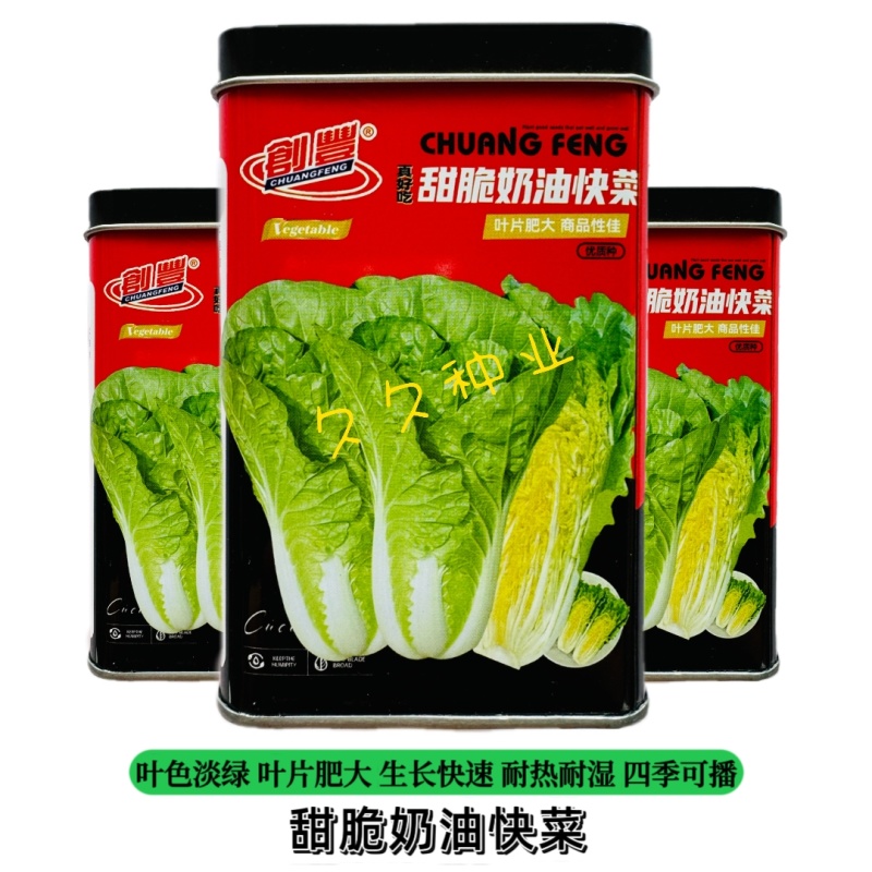 真好吃甜脆奶油快菜种子速生宽帮高产耐热耐湿耐捆扎