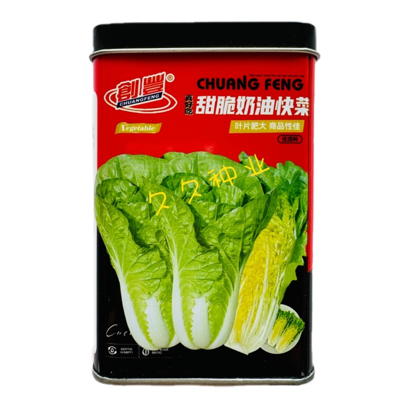 真好吃甜脆奶油快菜种子速生宽帮高产耐热耐湿耐捆扎