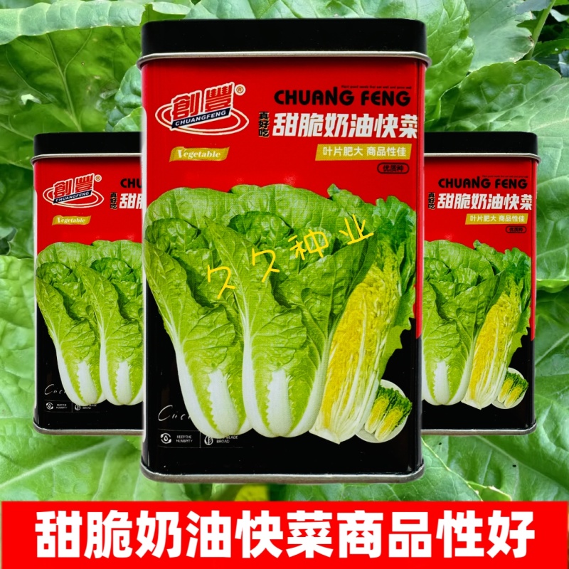 真好吃甜脆奶油快菜种子速生宽帮高产耐热耐湿耐捆扎