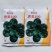 鼎优世美100趴地菠菜种子黑圆叶菠菜种籽油亮半直立菠菜种
