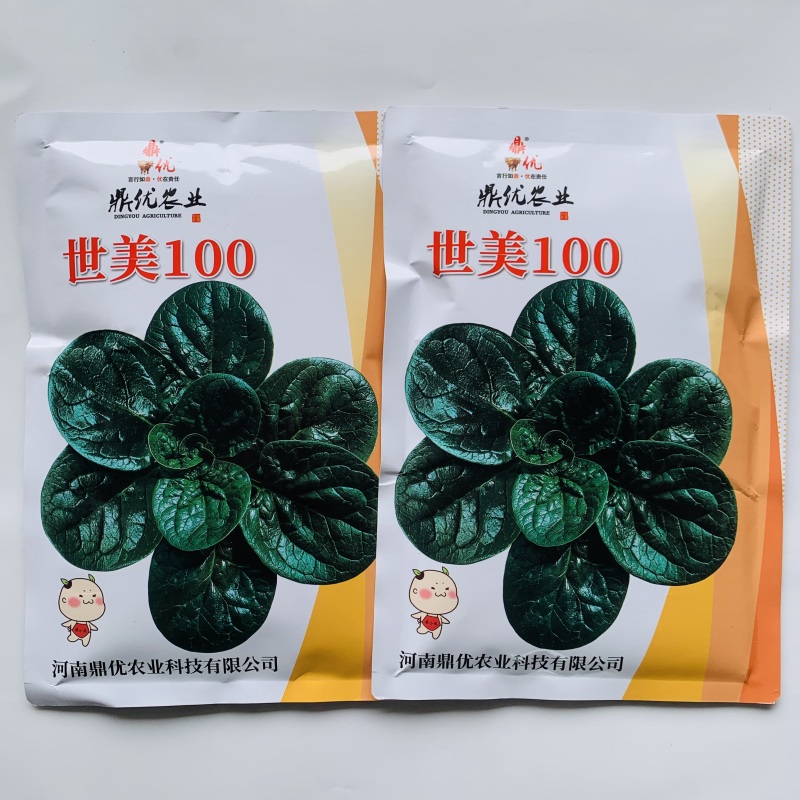 鼎优世美100趴地菠菜种子黑圆叶菠菜种籽油亮半直立菠菜种