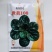 鼎优世美100趴地菠菜种子黑圆叶菠菜种籽油亮半直立菠菜种