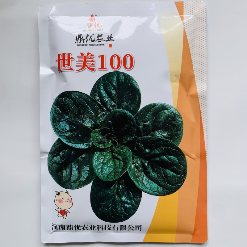 鼎优世美100趴地菠菜种子黑圆叶菠菜种籽油亮半直立菠菜种