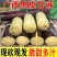【实力供货】广西黑皮甘蔗对接各大电商平台一件代发