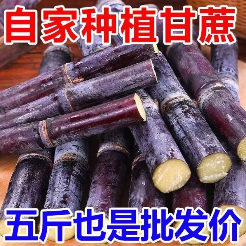【实力供货】广西黑皮甘蔗对接各大电商平台一件代发