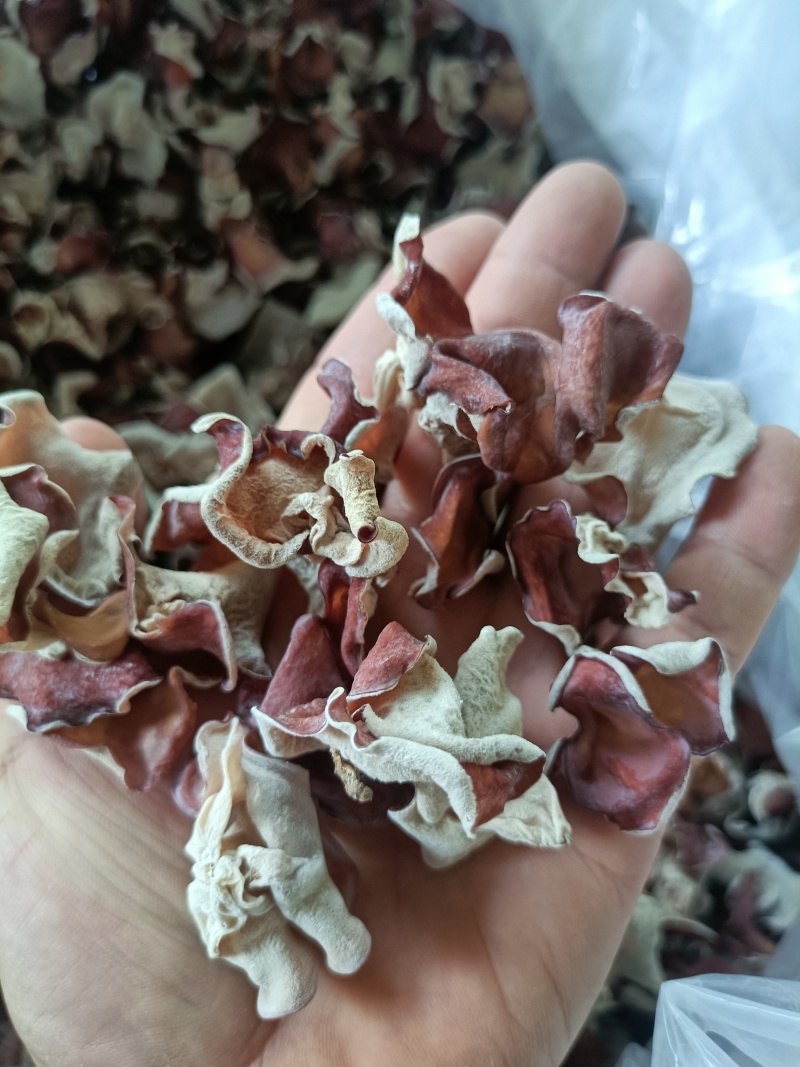 电商粉木耳粉耳干货自产自销粉木耳产地种植场批发零售粉木耳