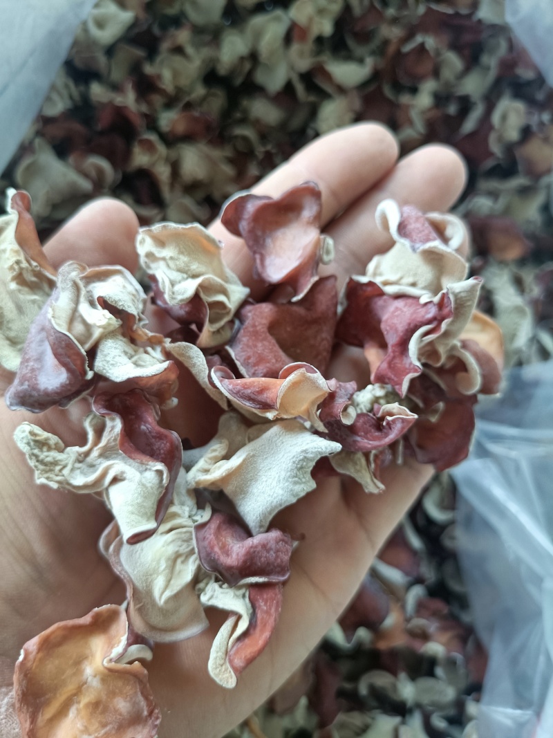 电商粉木耳粉耳干货自产自销粉木耳产地种植场批发零售粉木耳