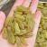 新疆绿香妃葡萄干大量上市产地直发品质保证全国发货