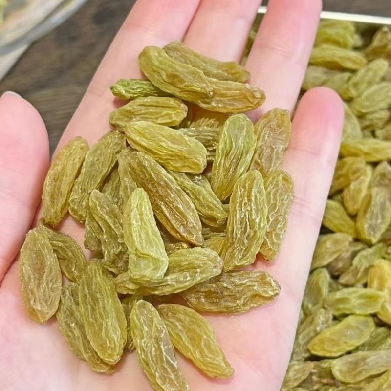 新疆绿香妃葡萄干大量上市产地直发品质保证全国发货