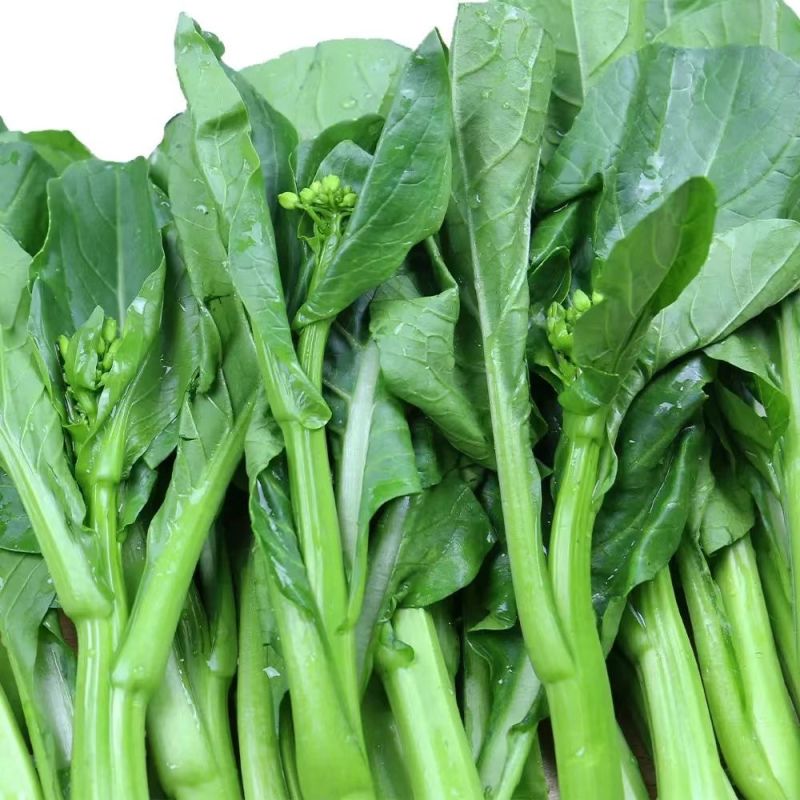 出奇75天杂交菜心种子浓绿尖叶菜苔种子爽脆味甜春秋季菜薹