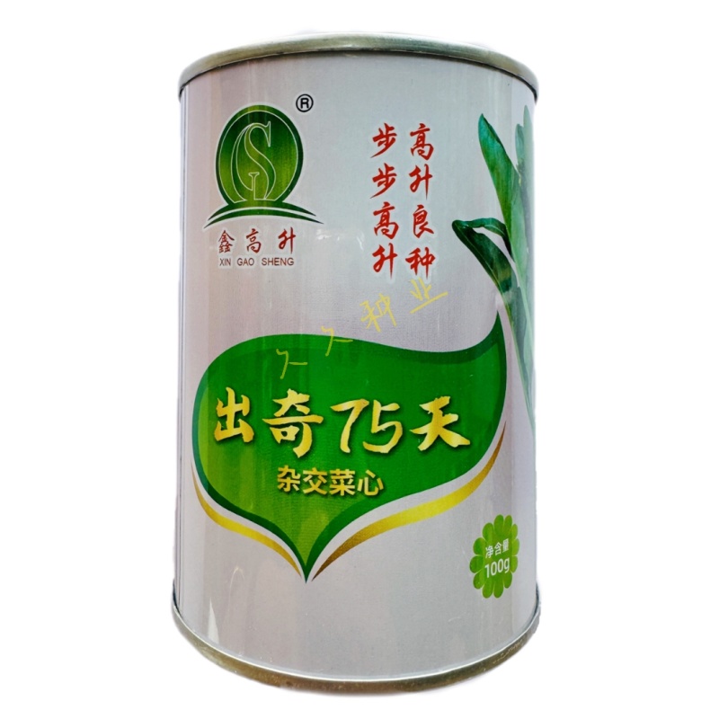 出奇75天杂交菜心种子浓绿尖叶菜苔种子爽脆味甜春秋季菜薹