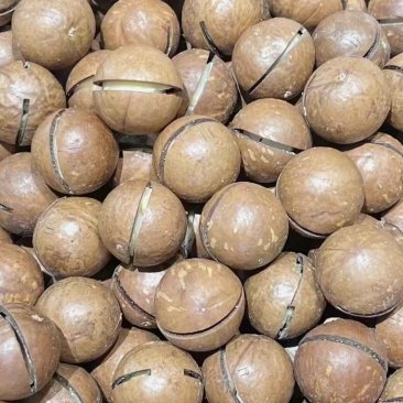夏威夷果