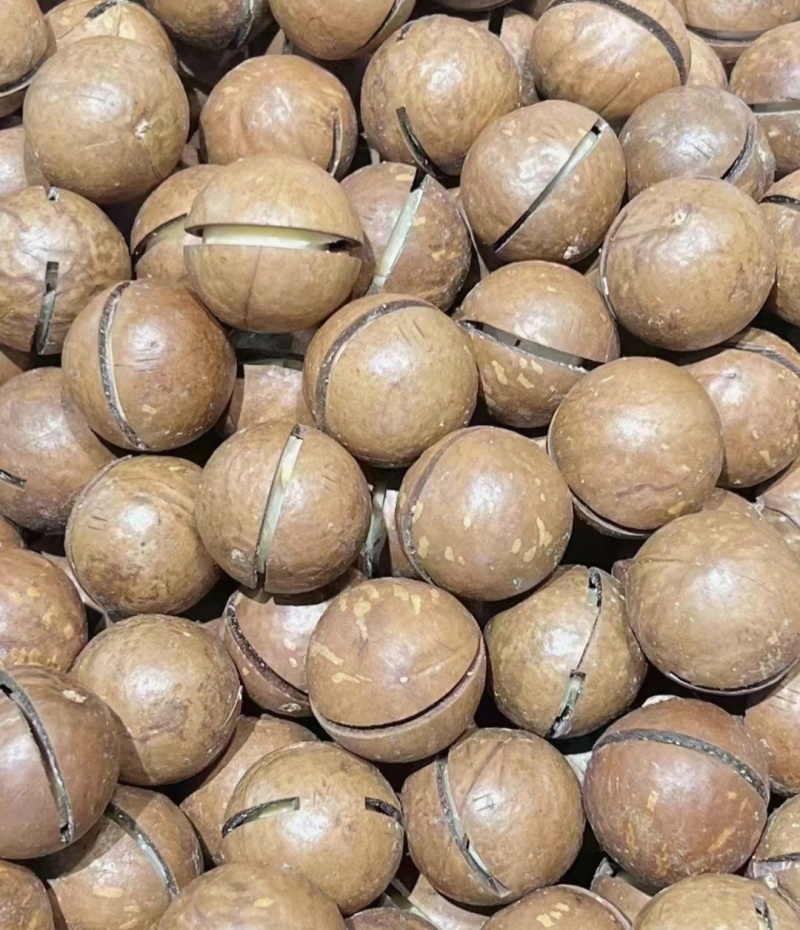 夏威夷果