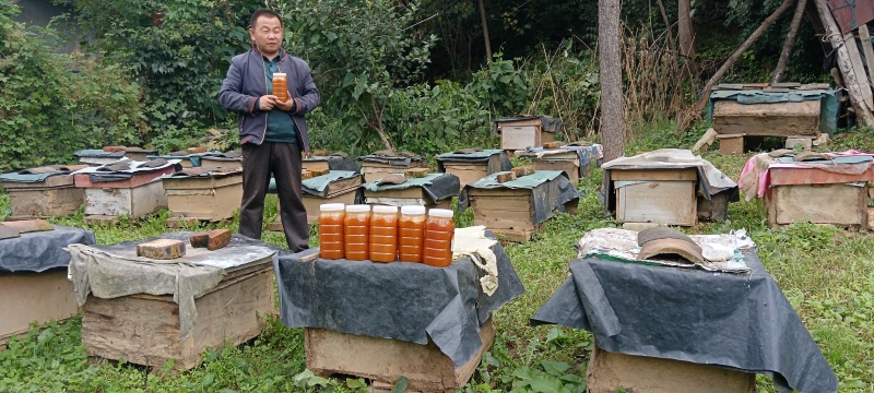 土蜂蜜