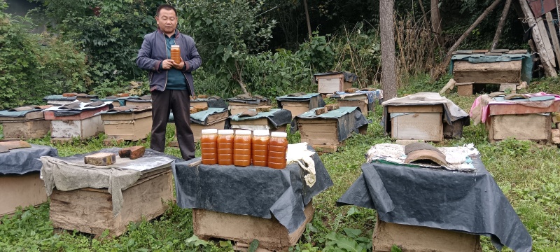 土蜂蜜