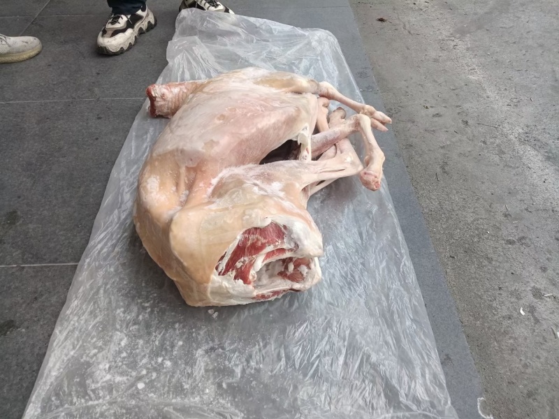白条羊羊肉带皮羊绵羊弯瘦羊整只羊