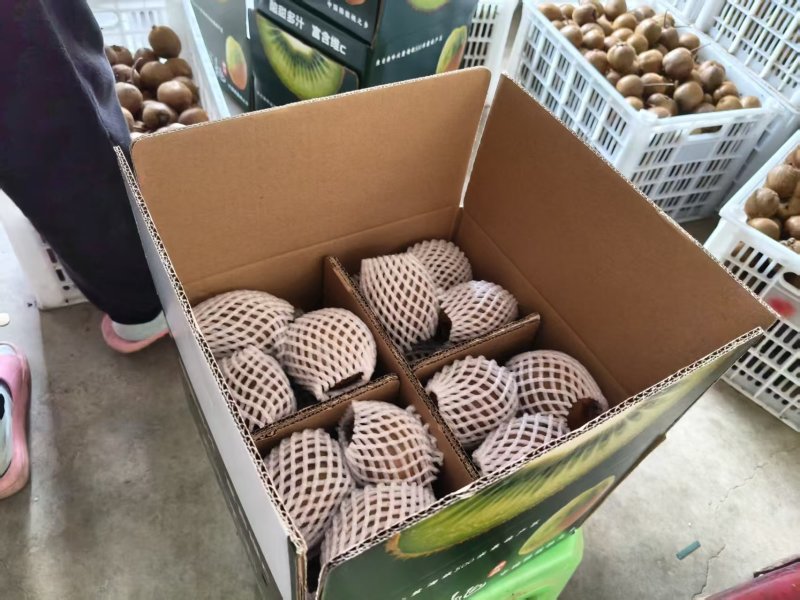 正宗陕西眉县徐香猕猴桃，皮薄肉多酸甜可口维c满满