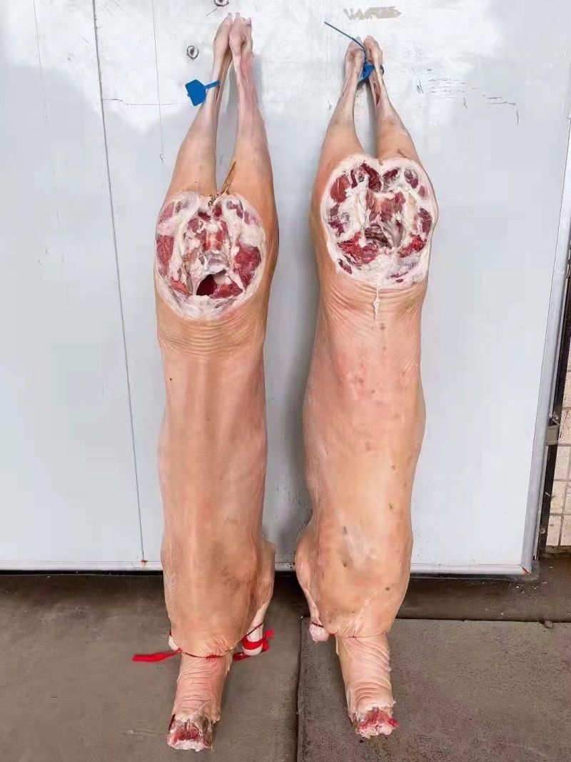 带皮羊冻羊白条羊内蒙羊肉直条羊标准羊