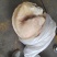 白条羊整只羊带皮羊绵羊内蒙羊