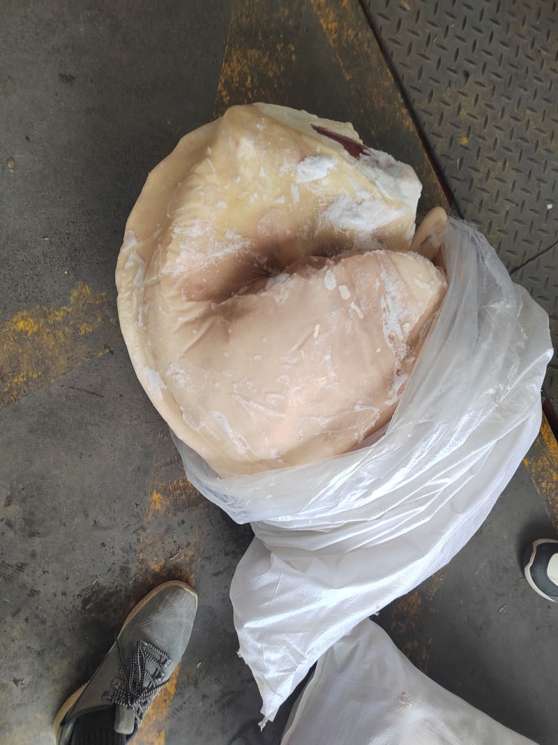 白条羊整只羊带皮羊绵羊内蒙羊