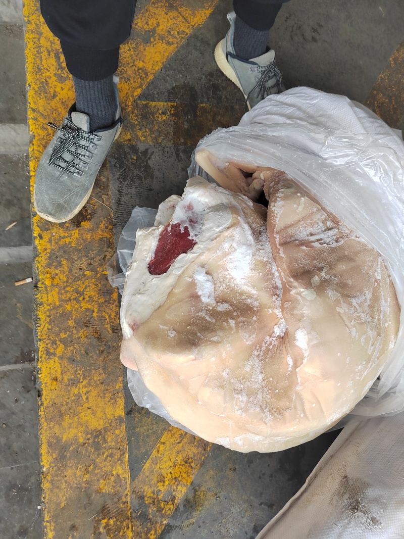 白条羊整只羊带皮羊绵羊内蒙羊