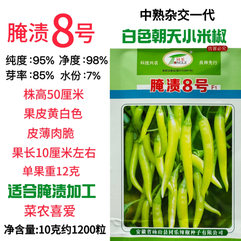 腌滞8号一代杂交辣椒种子朝天椒种子辣味香浓早熟高产小米