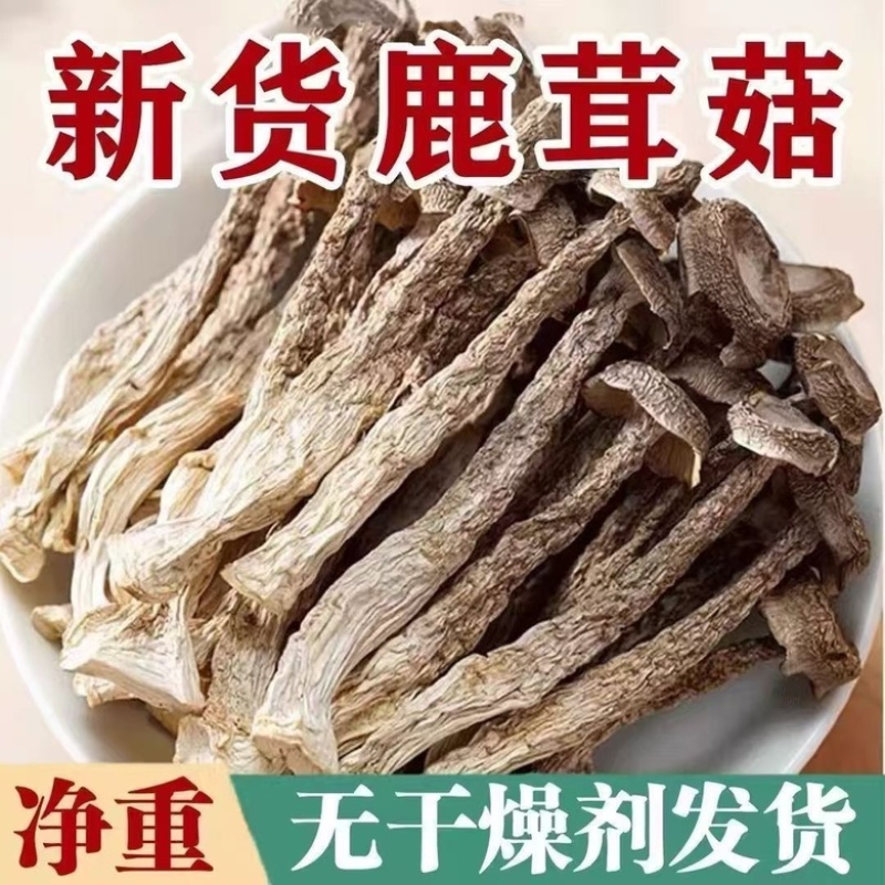 鹿茸菇今年新货煲汤整根天然无硫大货供应秋冬季好吃