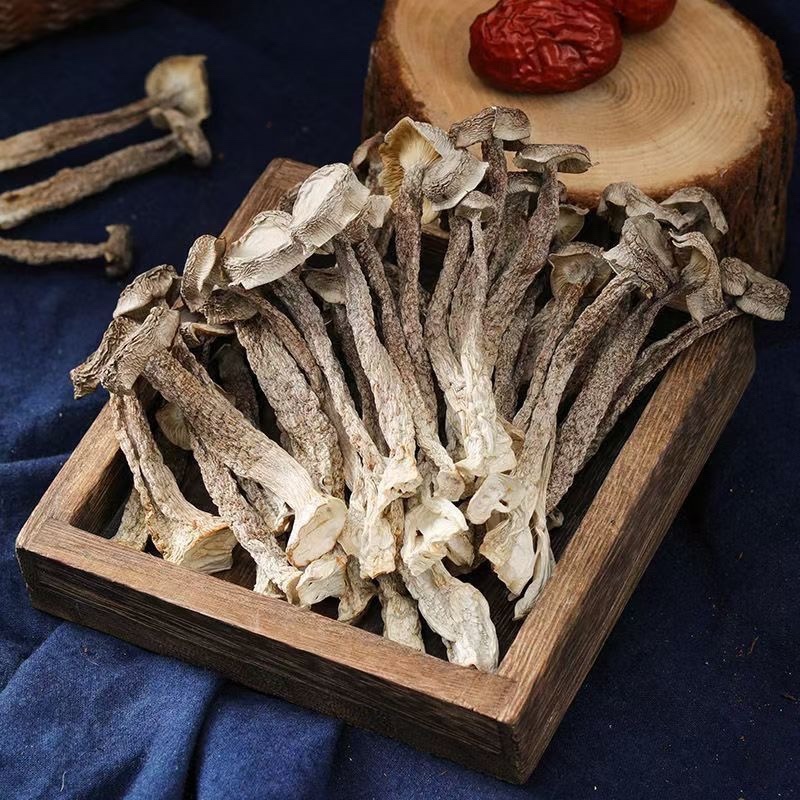 鹿茸菇今年新货煲汤整根天然无硫大货供应秋冬季好吃