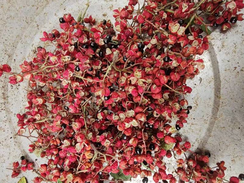 25年大红袍花椒新货一级