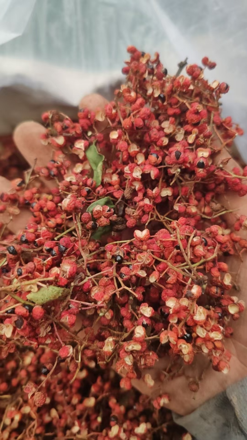 25年大红袍花椒新货一级