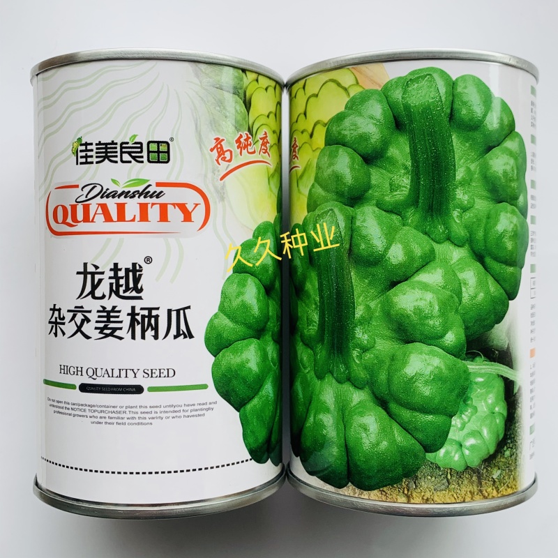 龙越杂交姜柄瓜种子杂交一代早熟脆甜坐果性好