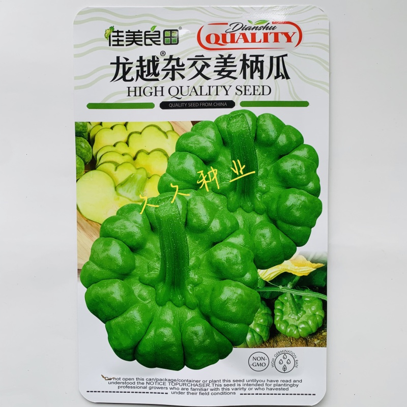龙樾杂交姜柄瓜种子早熟蔓生姜饼瓜香甜花盘磨盘南瓜籽春秋蔬