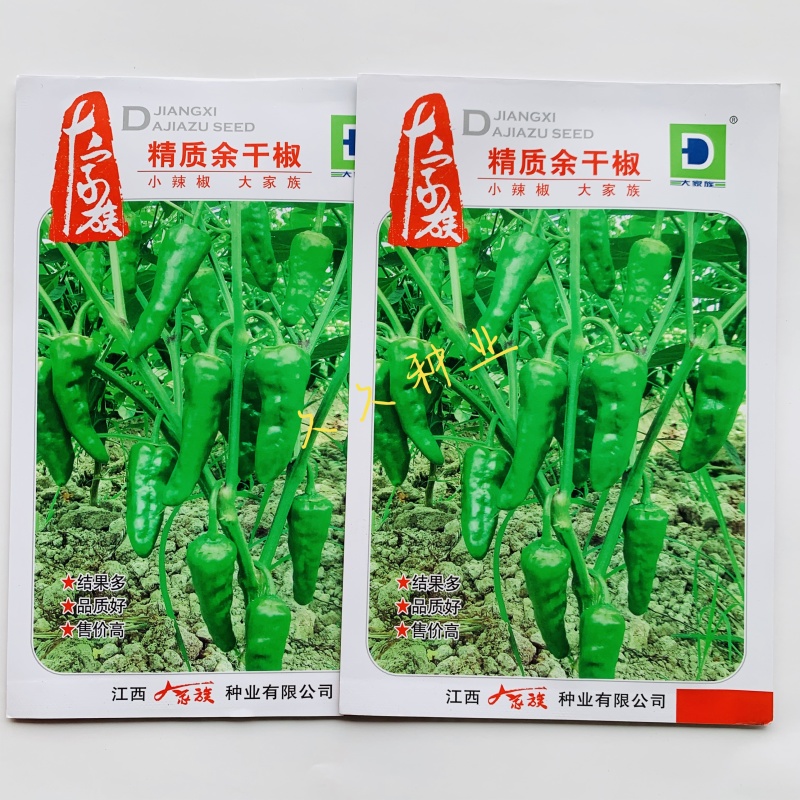 大家族精质余干椒杂交种纯度高极早熟品种皮薄味辣采收期长