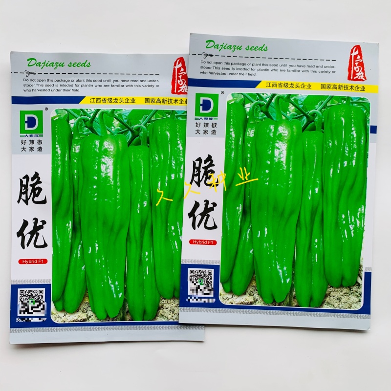 大家族脆优薄皮辣椒种子香辣脆嫩口感好泡椒种籽大田基地春秋