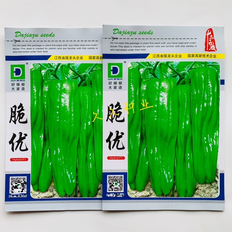 大家族脆优薄皮辣椒种子香辣脆嫩口感好泡椒种籽大田基地春秋